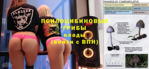 сатива Алексин